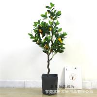 uploads/erp/collection/images/Home Garden/dgjiawang/XU0612825/img_b/XU0612825_img_b_4